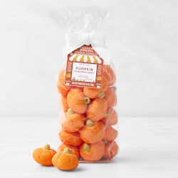 Williams Sonoma Halloween Hot Cocoa Cauldron & Pumpkin Marshmallows