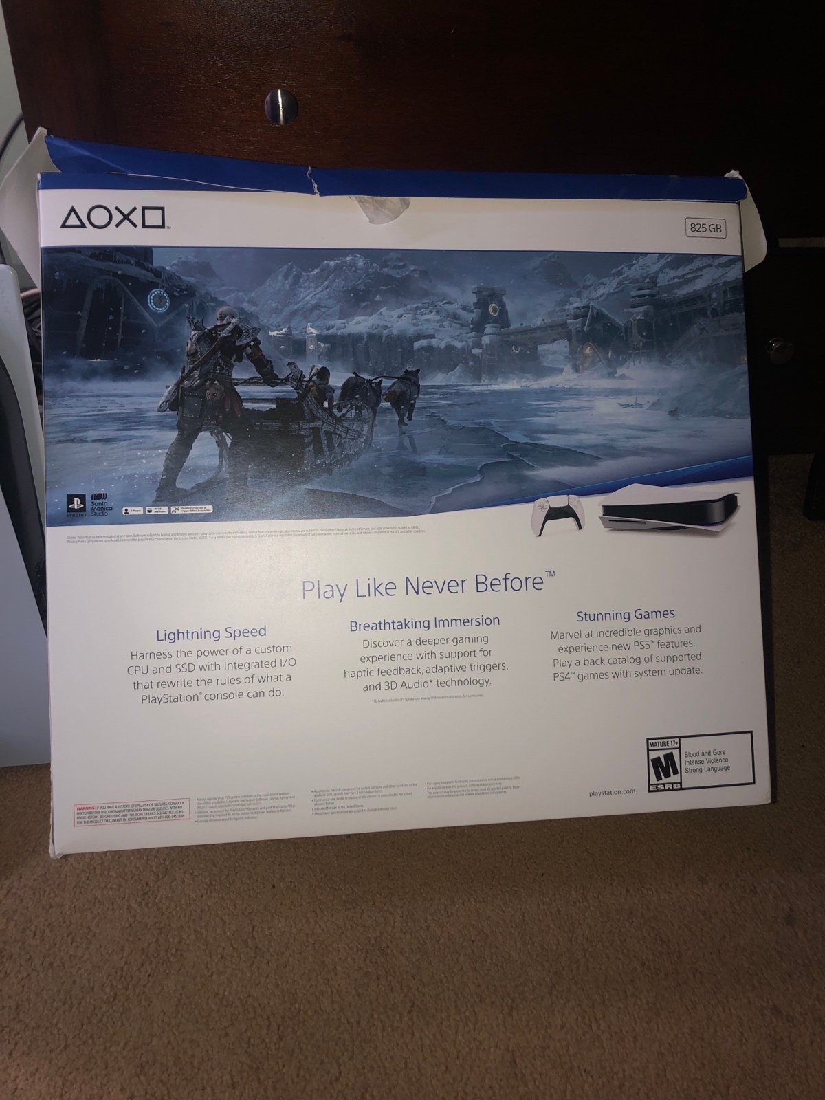 PlayStation 5 9B21