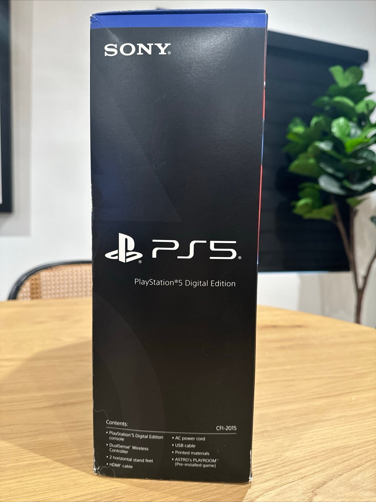 PlayStation 2N97