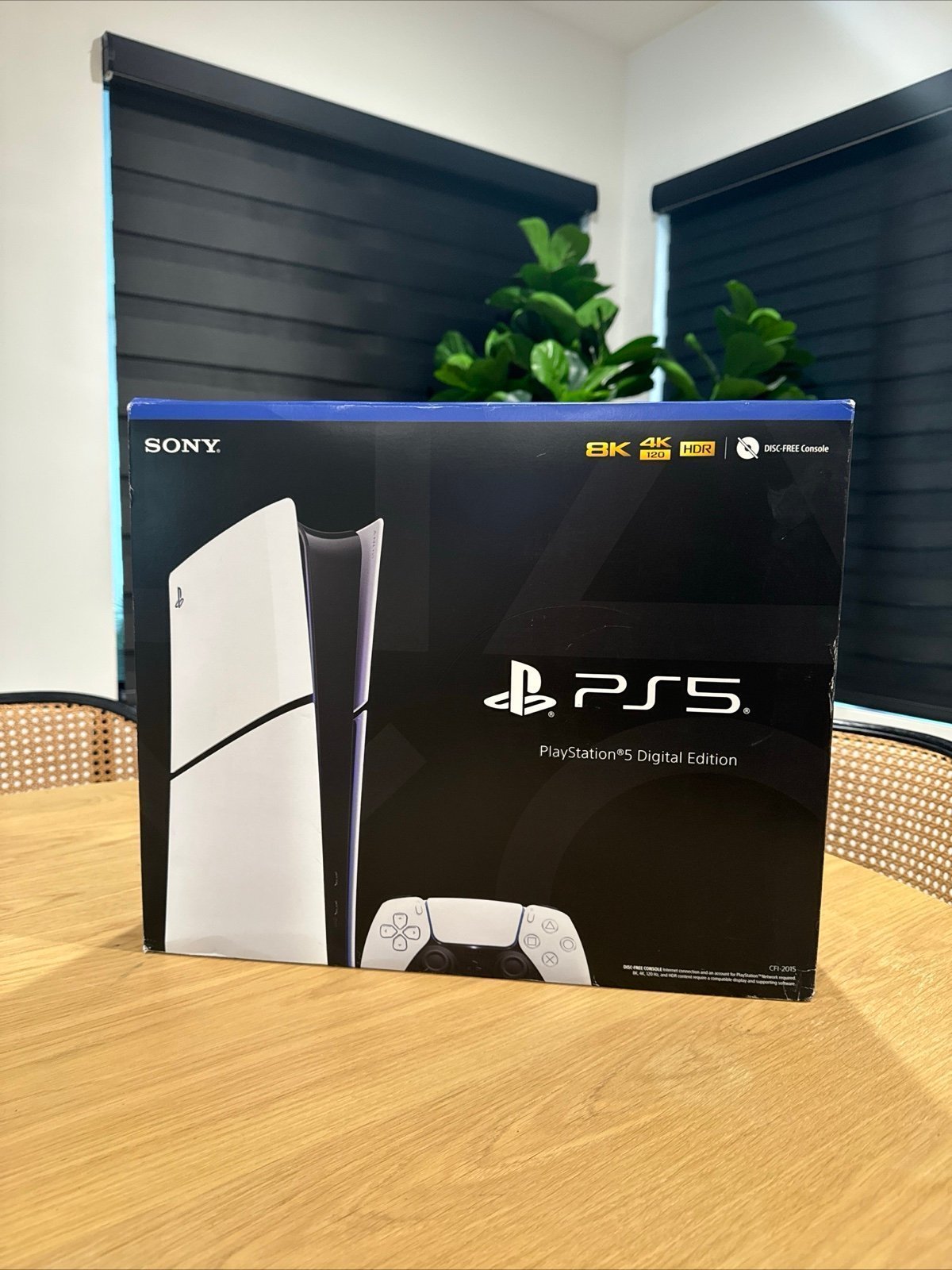 PlayStation 2N97