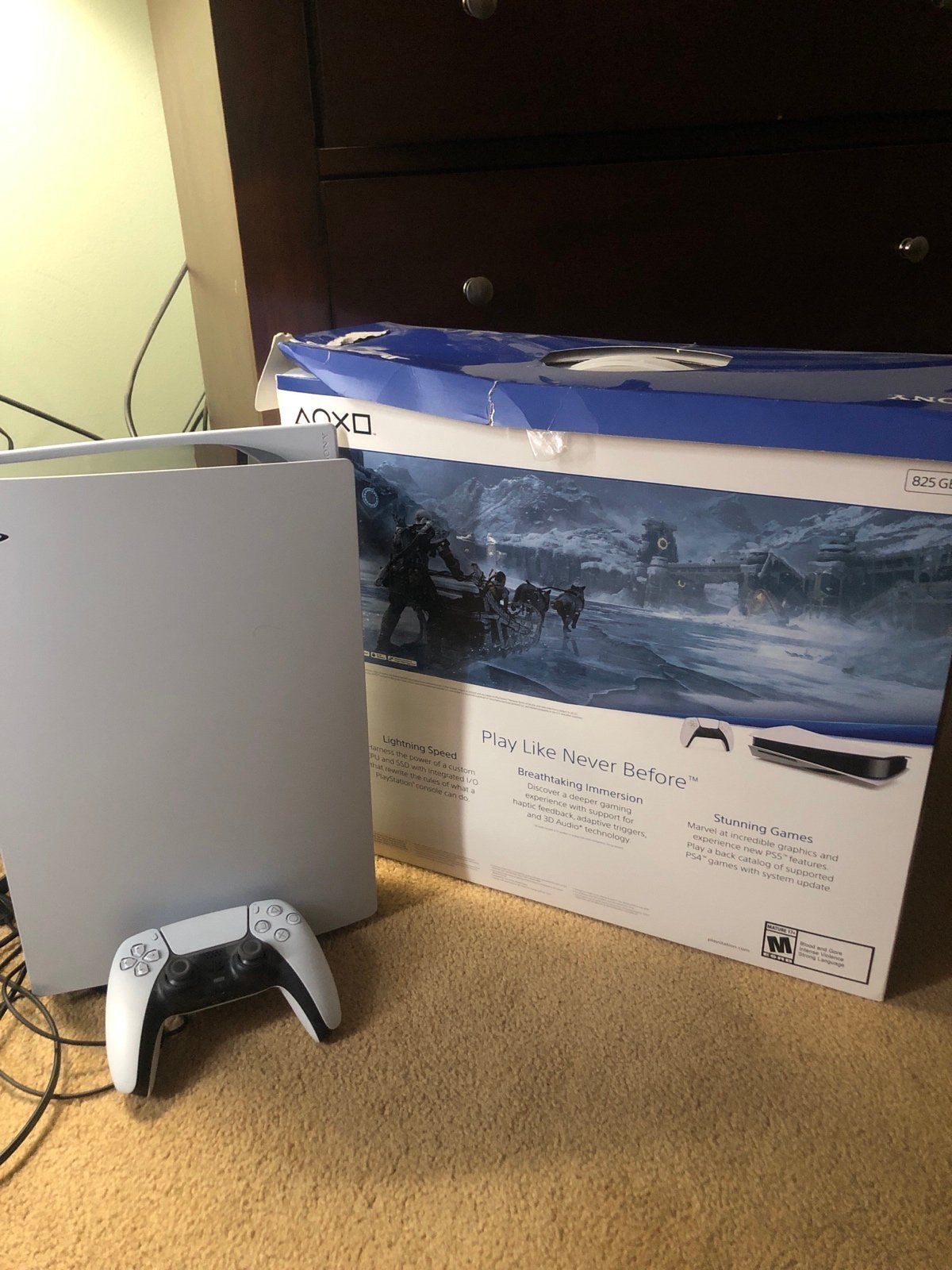 PlayStation 5 9B21