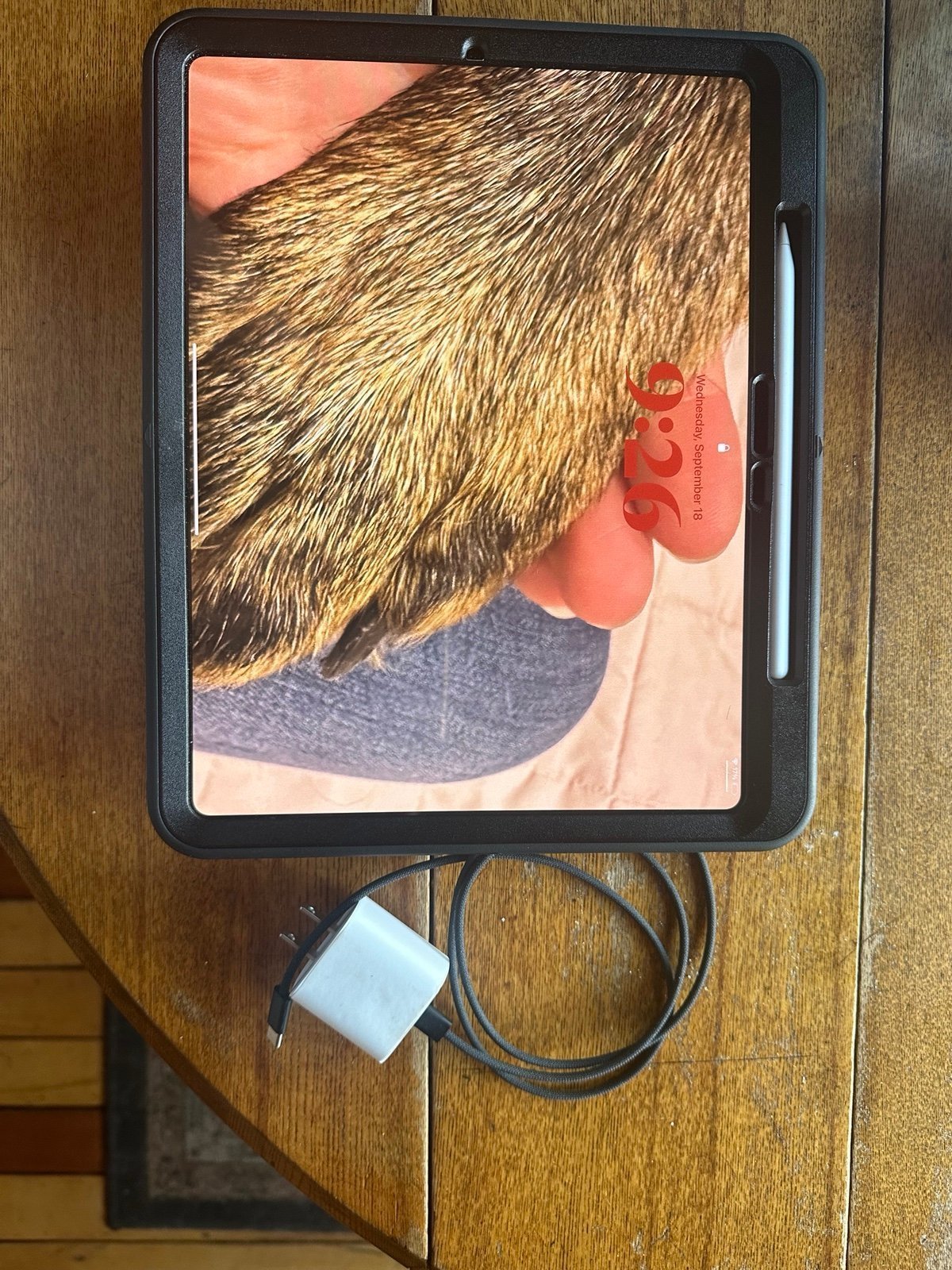 ipad pro 13 inch m4 9T56