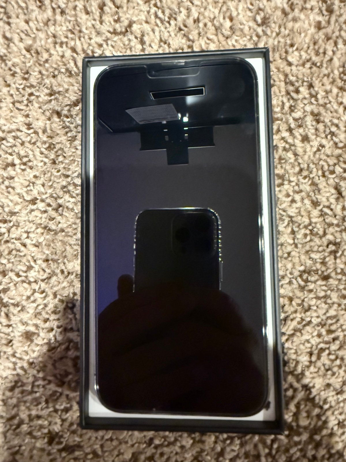 iPhone 13 Pro Max 6L32