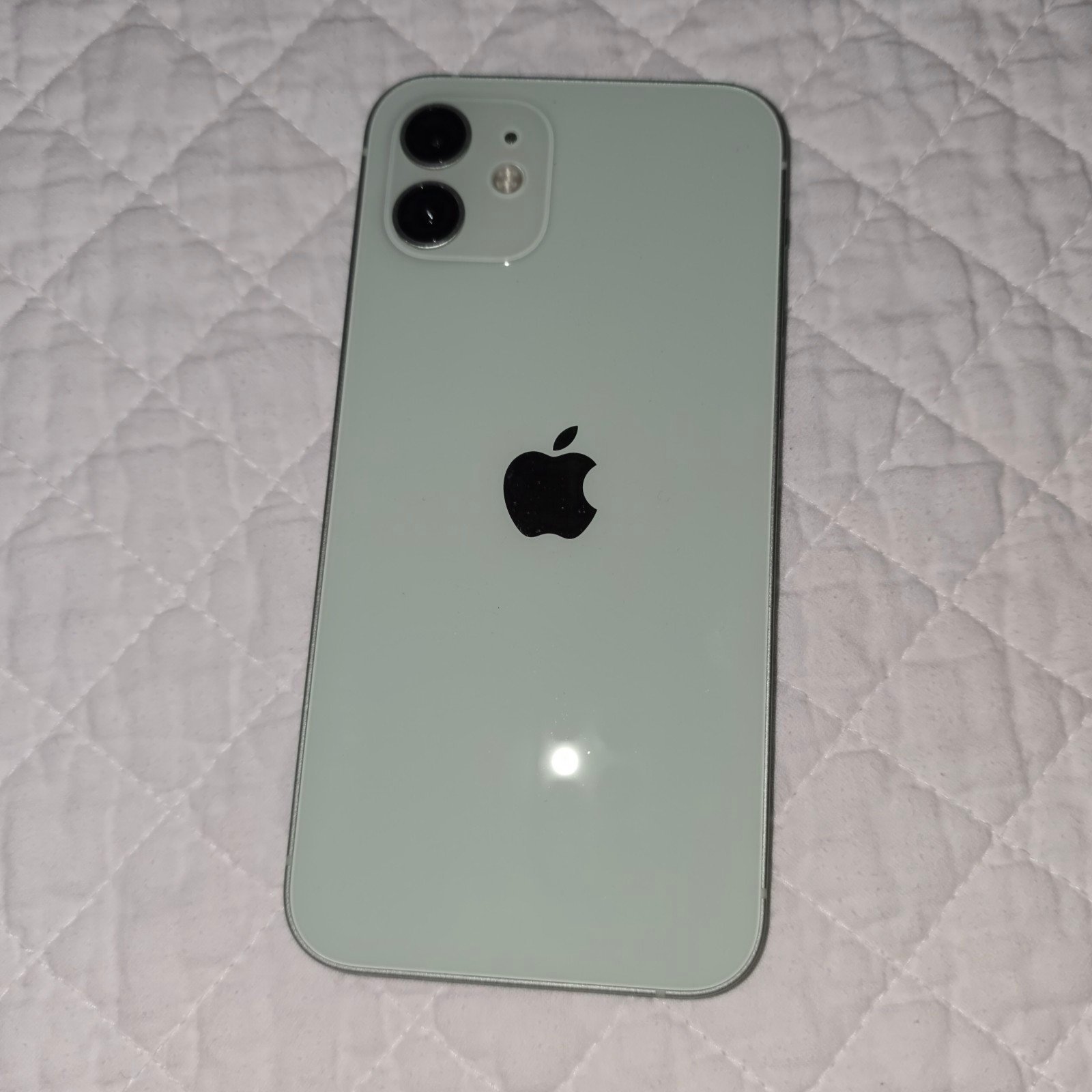 iPhone 12 color mint green 64 gb - used 2T15