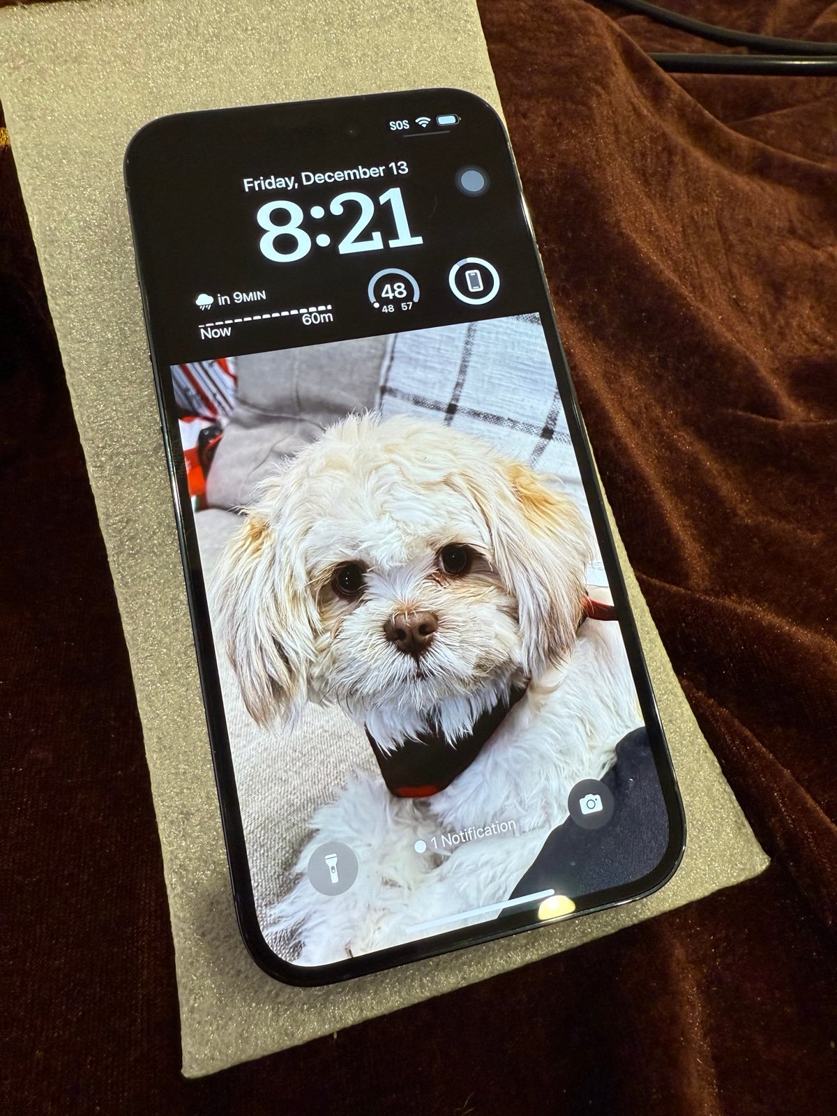 iphone 14 pro max phone unlocked 512gb 6C77