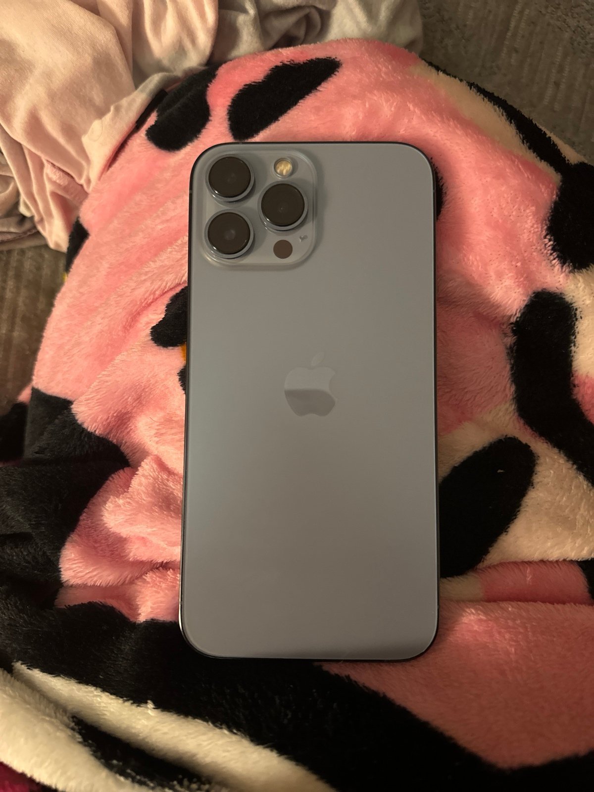 iphone 13 pro max 8W58