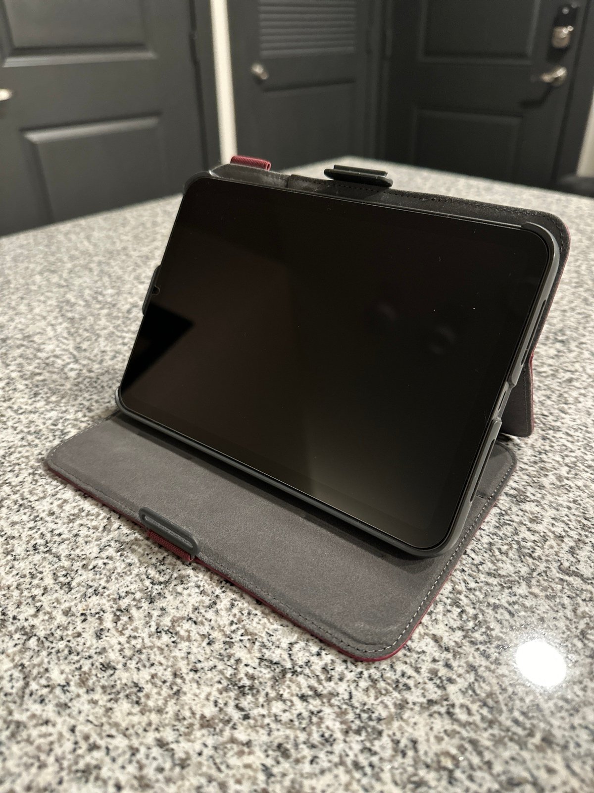 Barely Used iPad Mini 6th Gen 256G Space Gray with Case 9V87