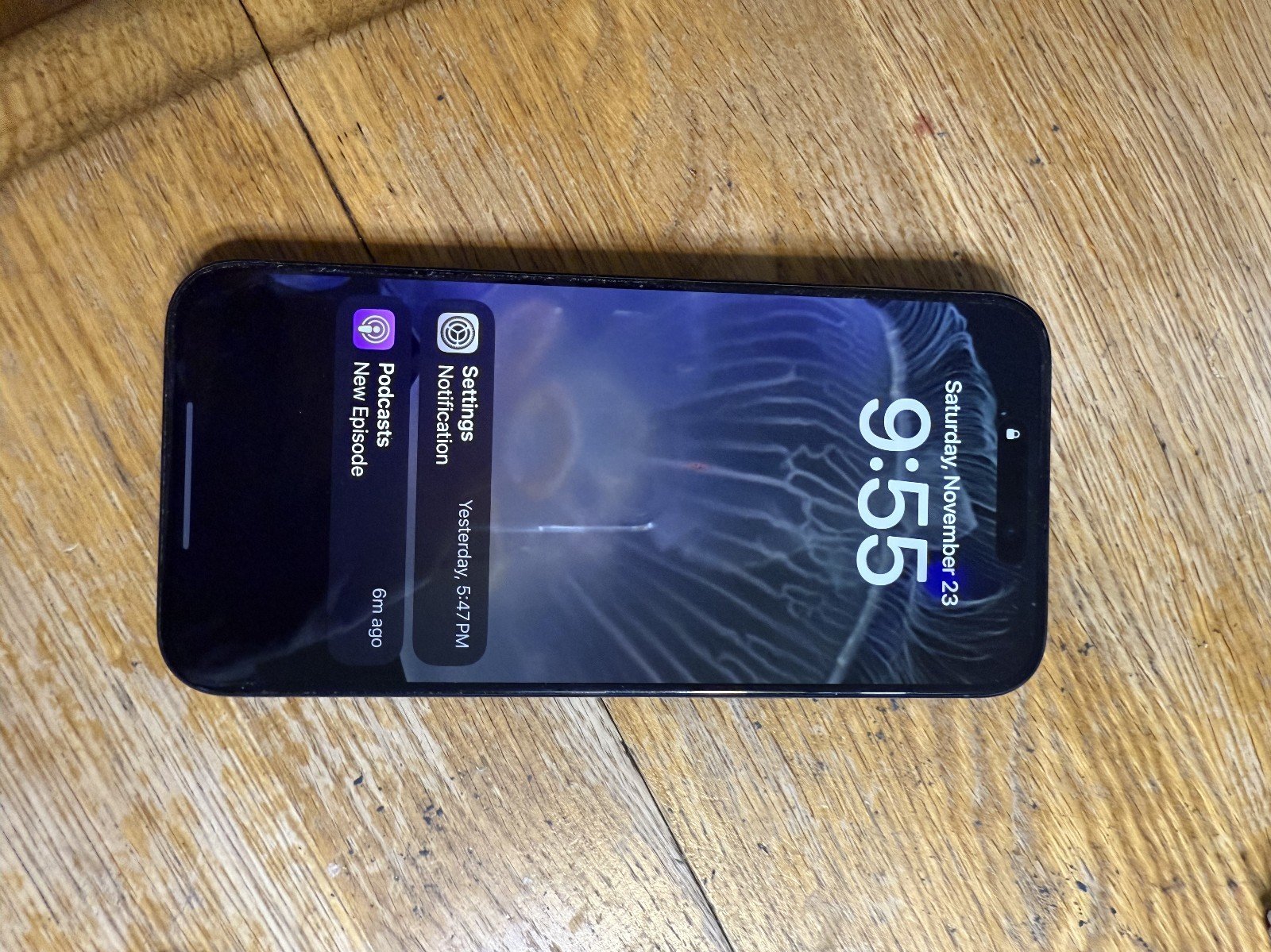 IPhone 15 Pro Max 256 GB Carrier Unlocked 3V22