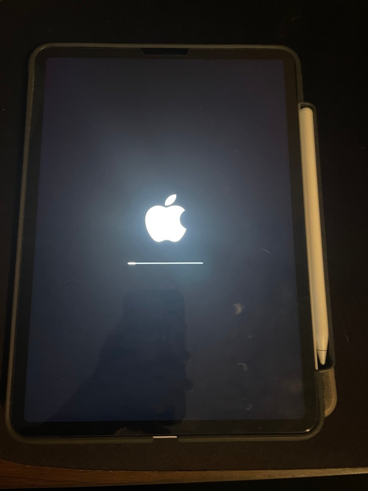 iPad Pro 11 inch 1st Gen with Apple Pencil 3K25