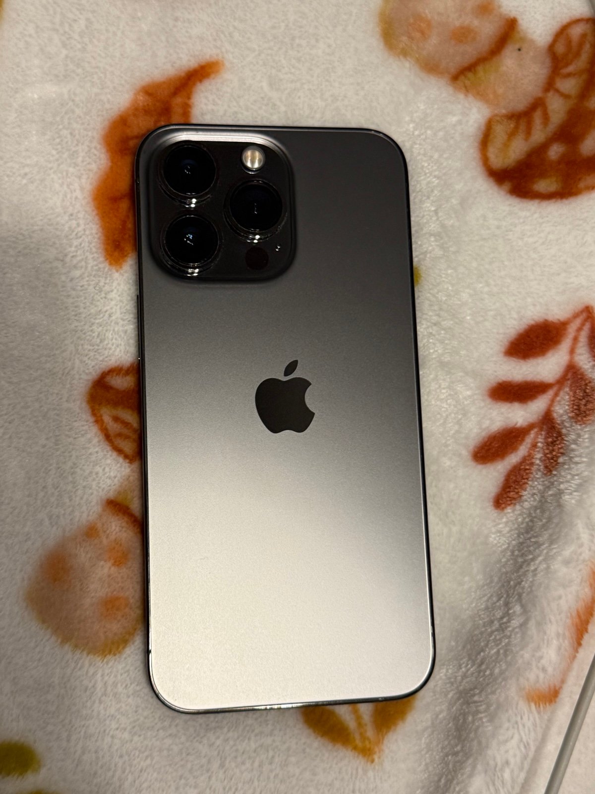 iphone 13 pro unlocked  ON HOLD 2L87