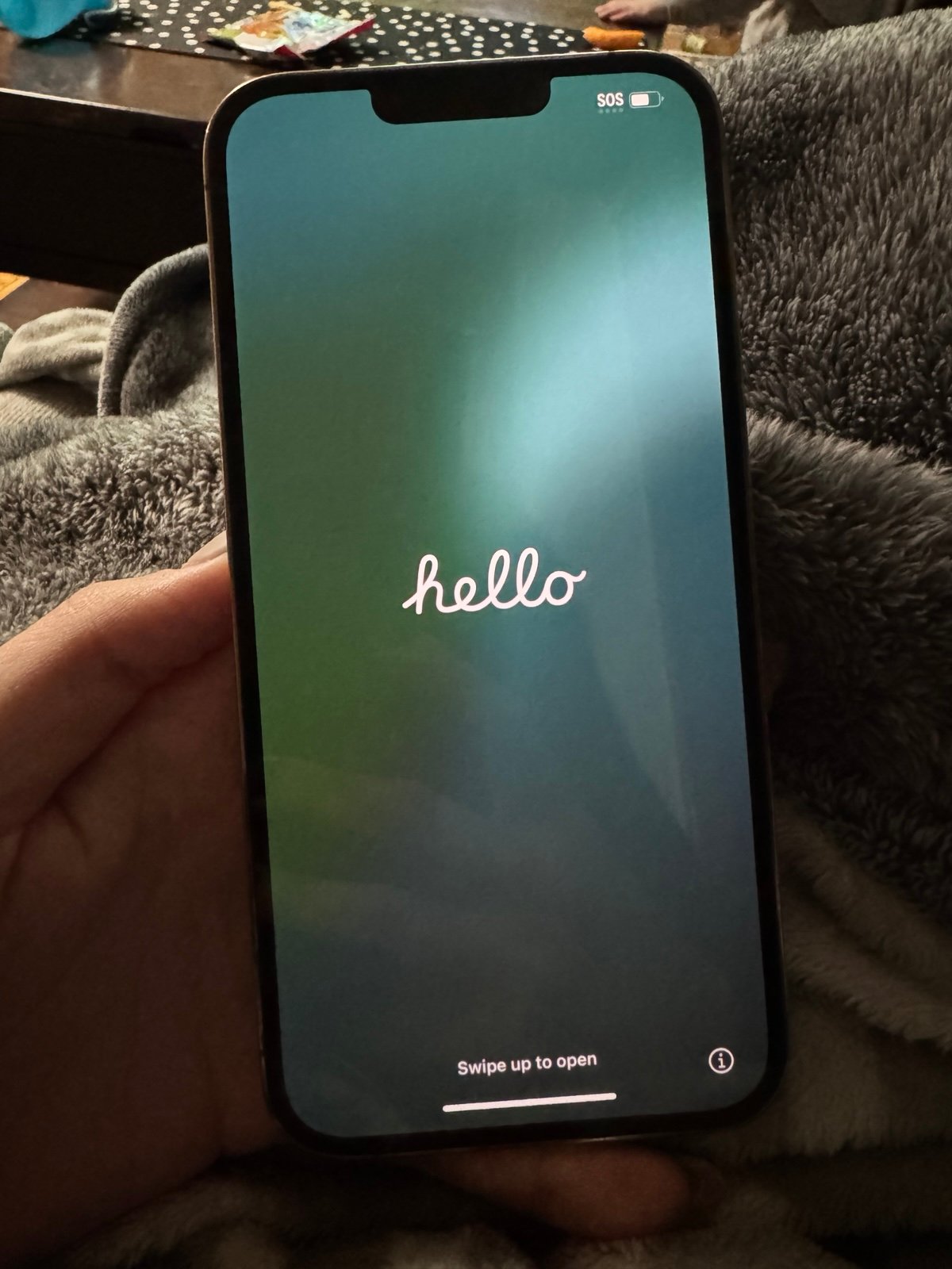 UNLOCKED iPhone 13 Pro Max 8L99