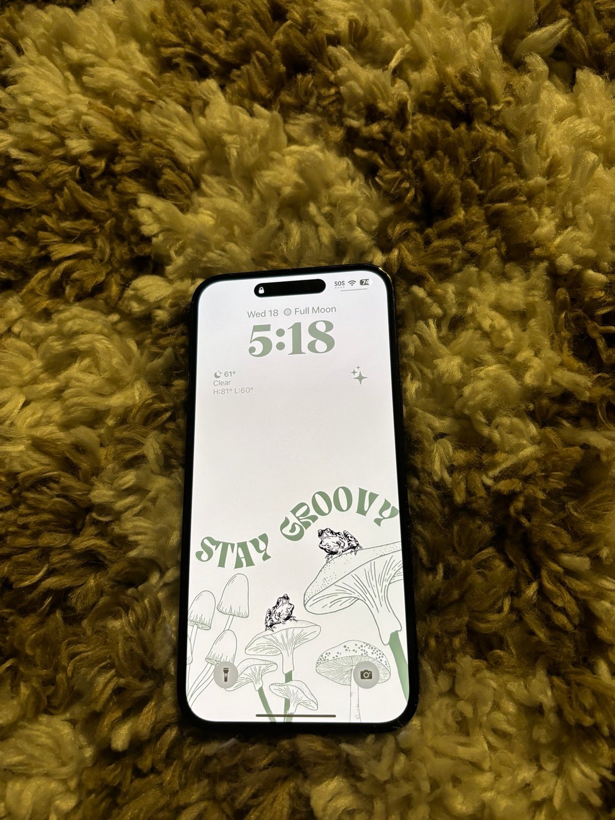 Unlocked iPhone 14 Pro Max and Case lot 5R33