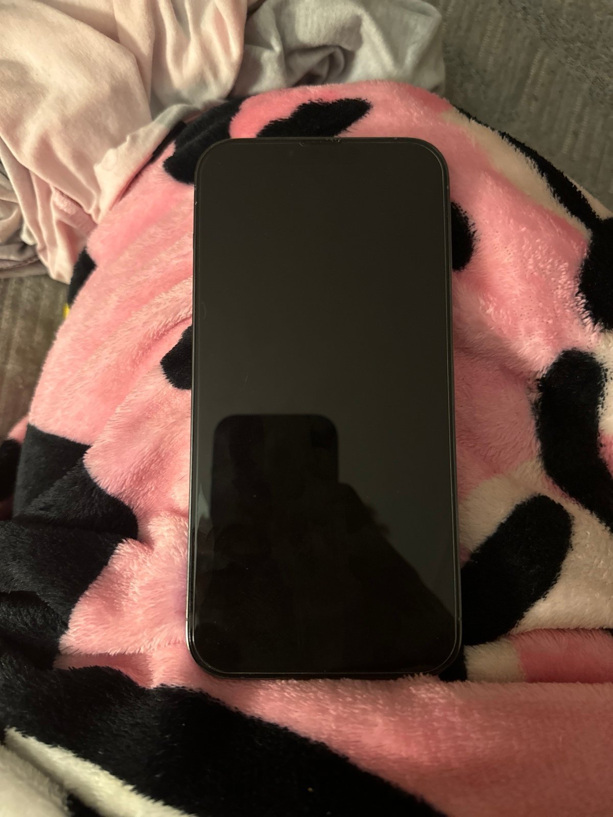 iphone 13 pro max 8W58