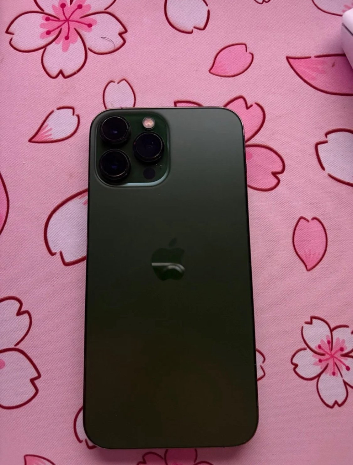 iphone 13 pro max *UNLOCKED* 2B99