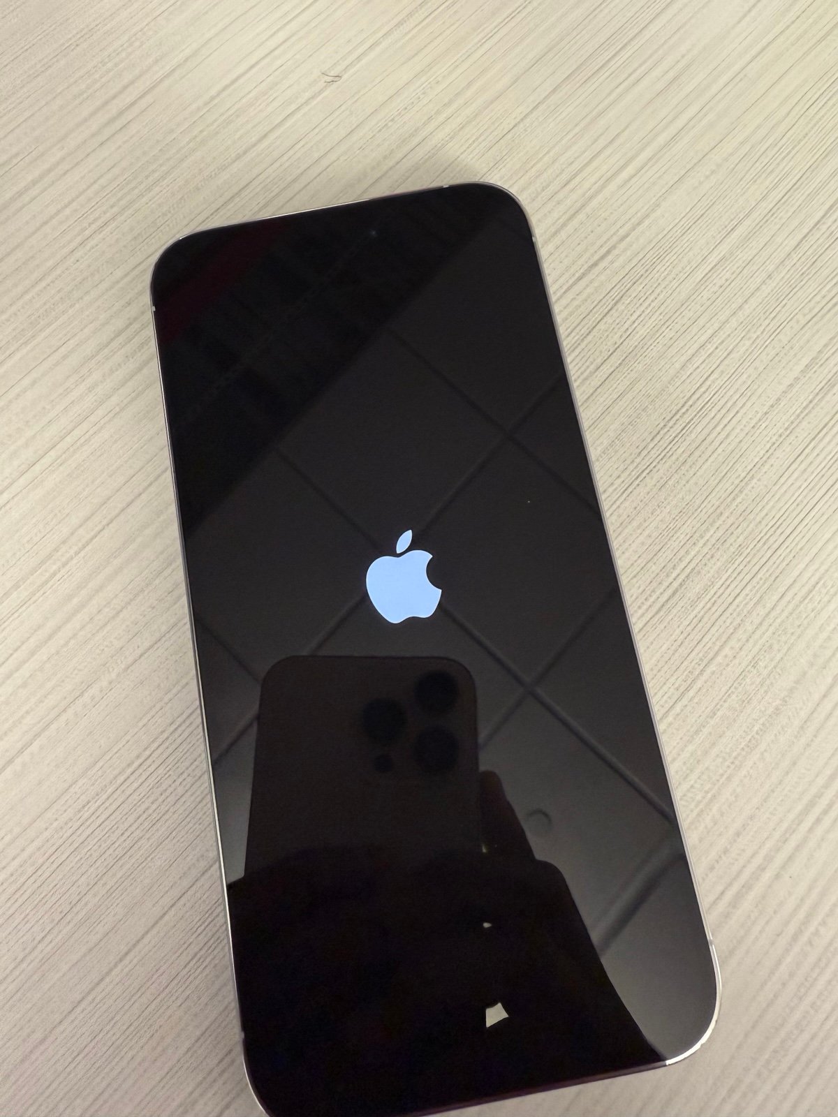 iPhone 14 Pro Max 8E95