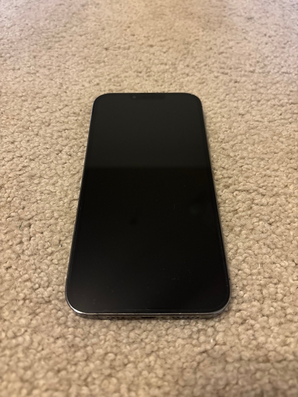 iPhone 13 Pro Max 6L95