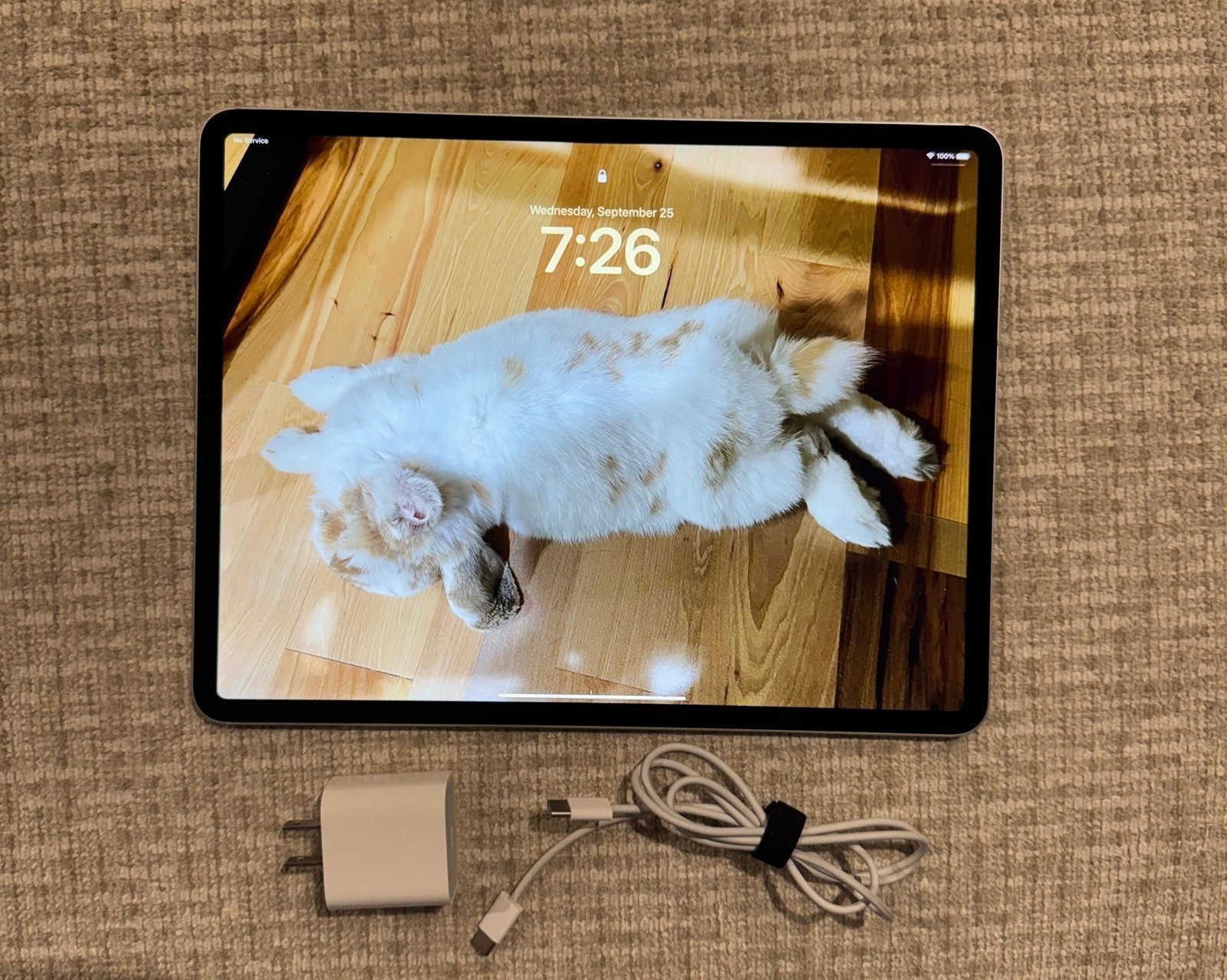 Apple iPad Pro 12.9” 4th Gen 256gb WiFi + Cellular Unlocked 5A95