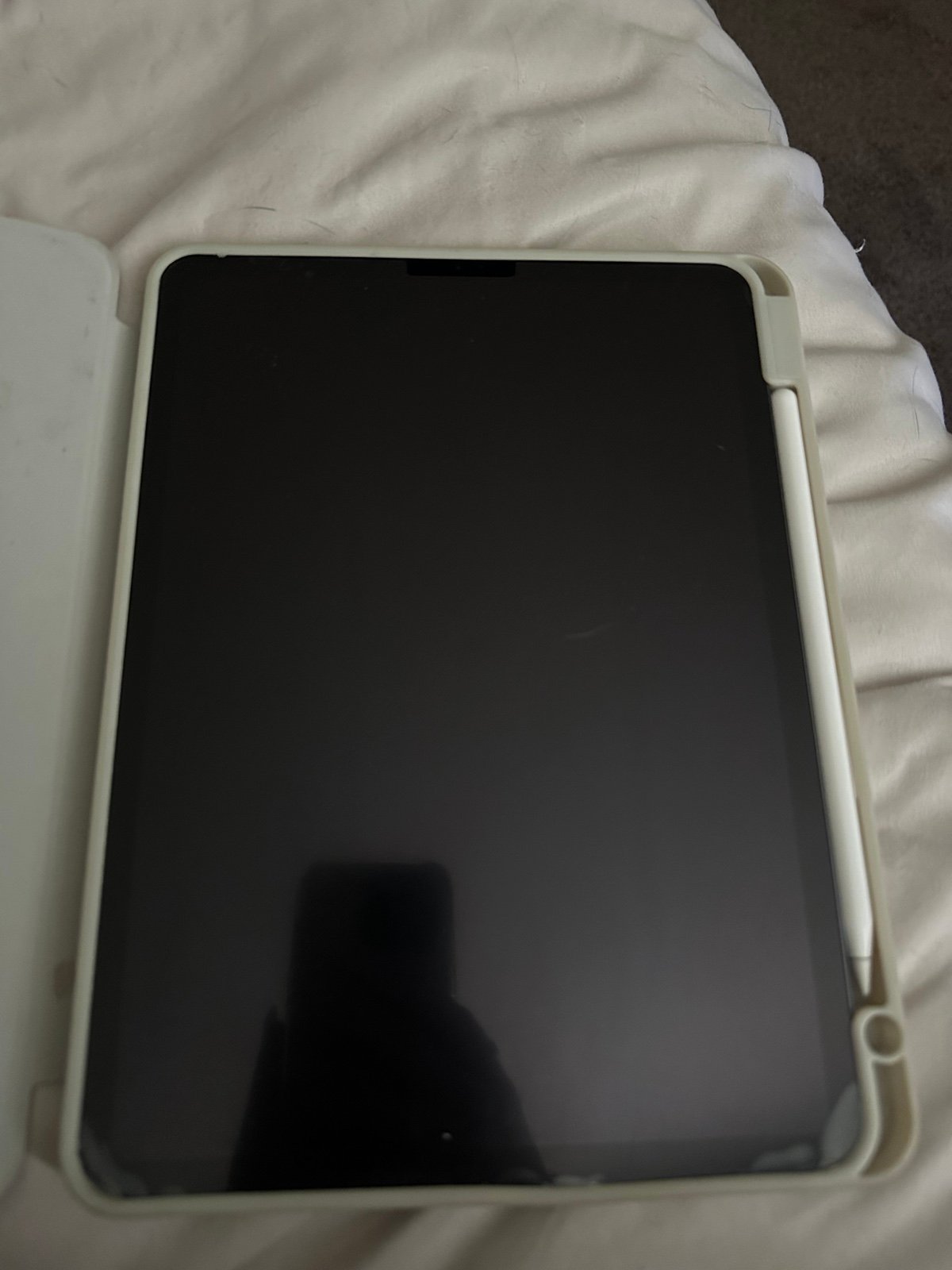 Apple iPad Pro with Apple Pencil 1P13
