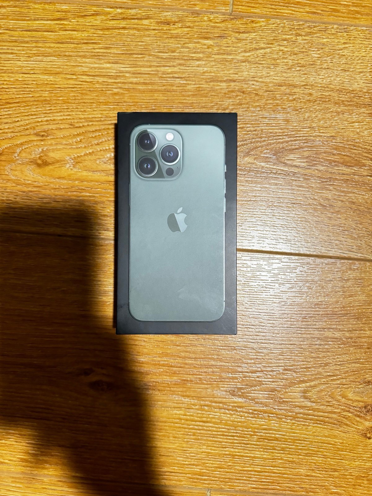 iPhone 13 Pro (Unlocked) 5W22