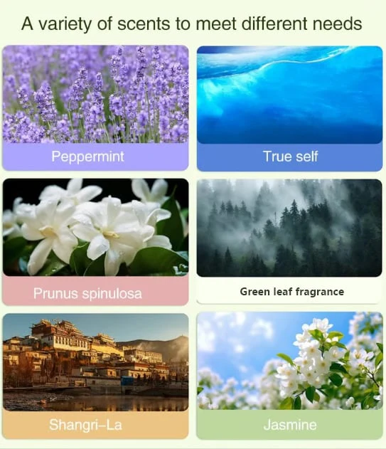 🔥Automatic Aromatherapy Diffuser