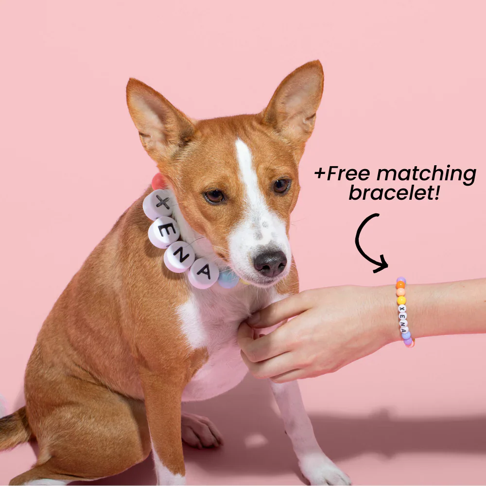 Dog Collar + Free Matching Bracelet