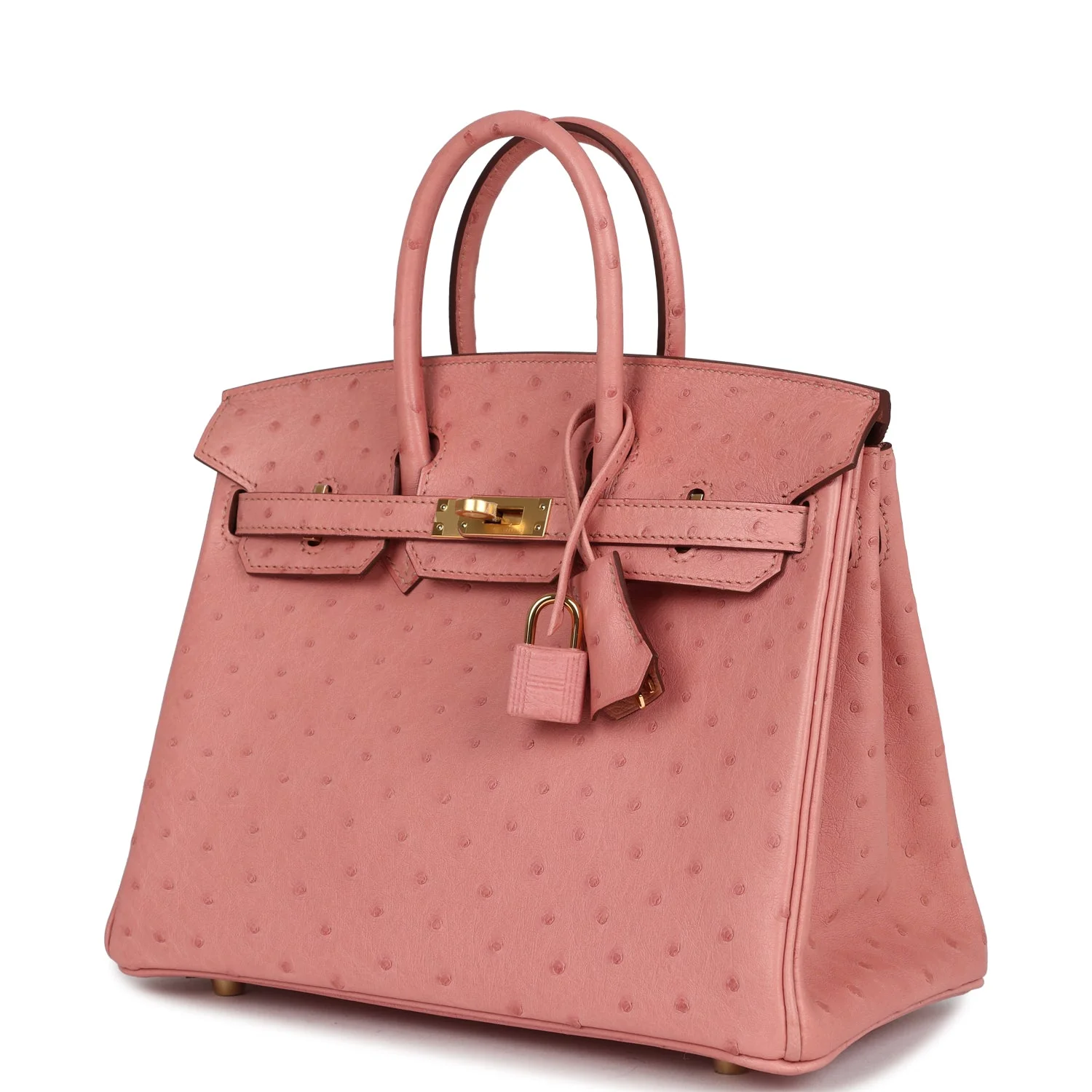 Hermes Birkin 25 Terre Cuite Ostrich Gold Hardware