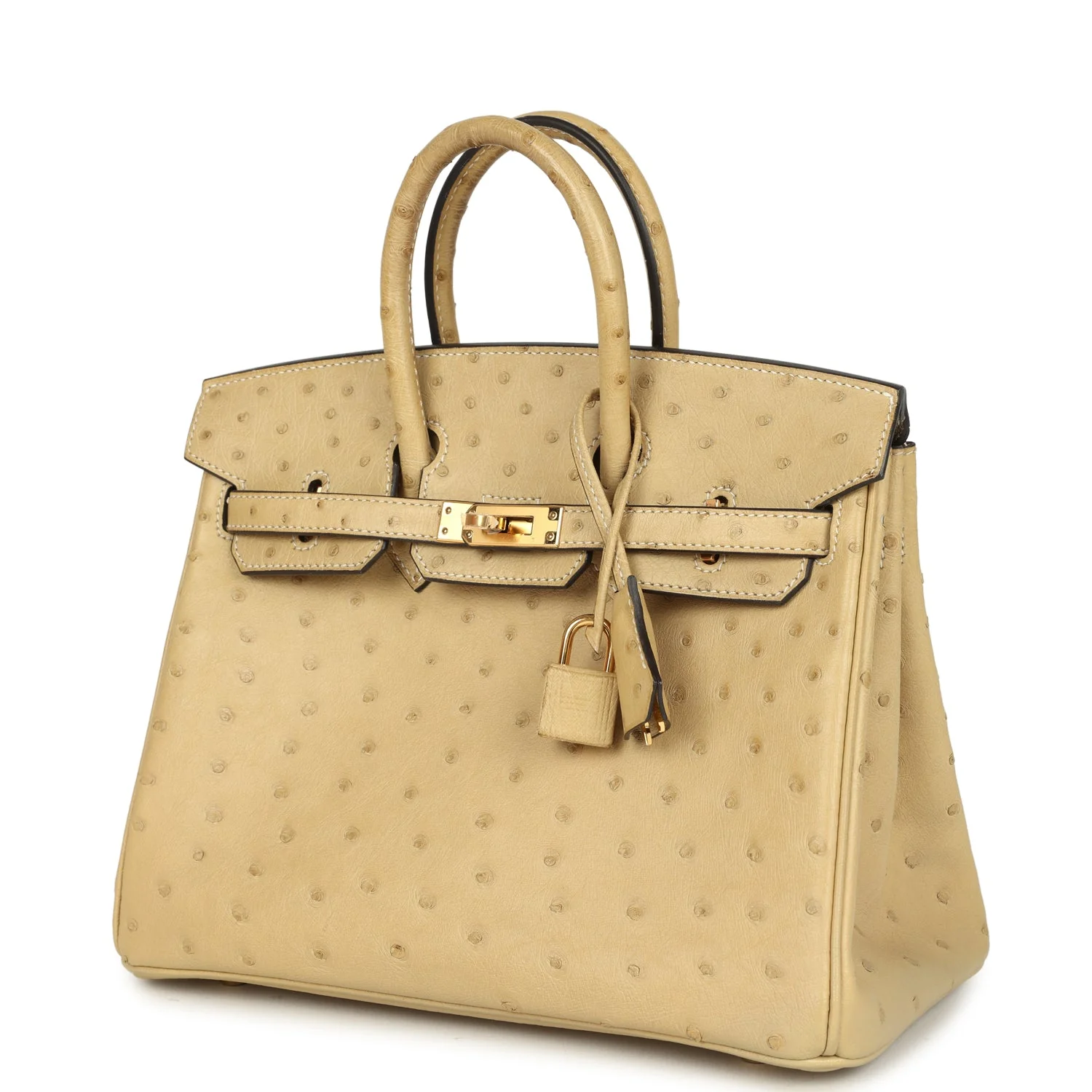 Hermes Birkin 25 Trench Ostrich Gold Hardware