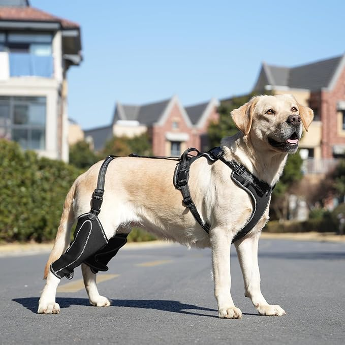 Dog Hip Brace Support for Knee Brace with Traction Rope, 4 Limb Wear Adjustable Design Keep Joints Warm and Stable and Lick Prevention XL Size for Extra Large Dogs