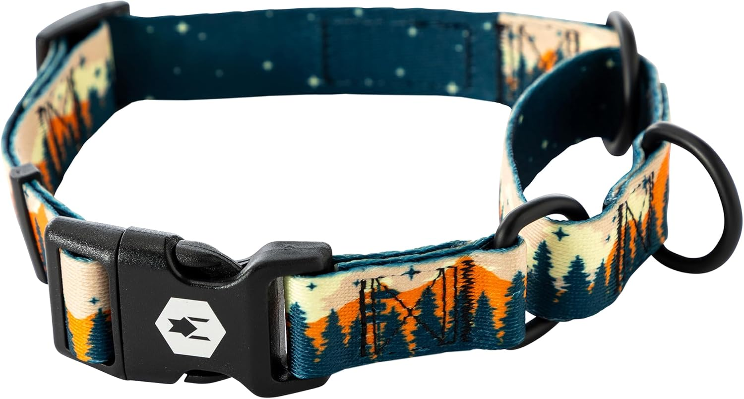 Heavy Duty Martingale Dog Collar with Quick Release Nylon Buckle for Walking & Training, Overland Print, Medium
