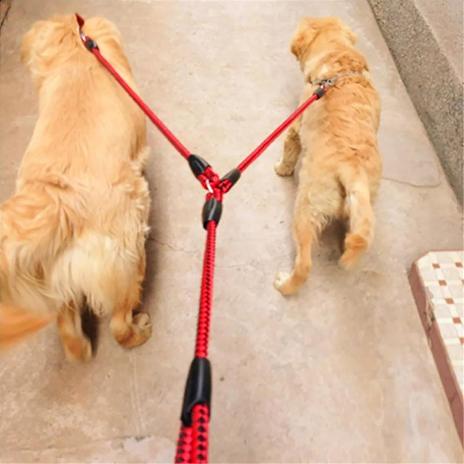 Pet Traction Rope Pet Dog Double Traction Rope Dogs Convenient and Leads Comfortable Outdoor Vest pet(Blue)