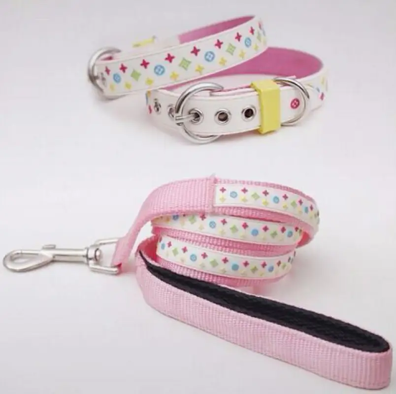 Trendy Pet Collar & Lead
