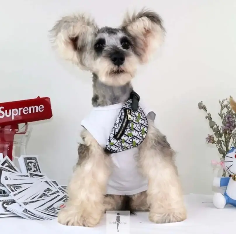 Pet Backpacks Supplies