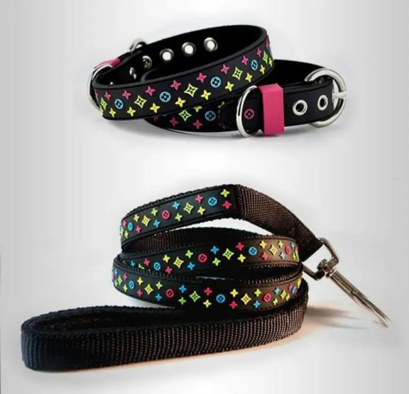 Trendy Pet Collar & Lead