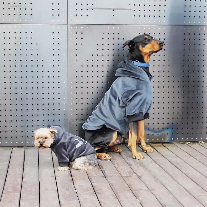 Matching Fashion with Pet Clothes