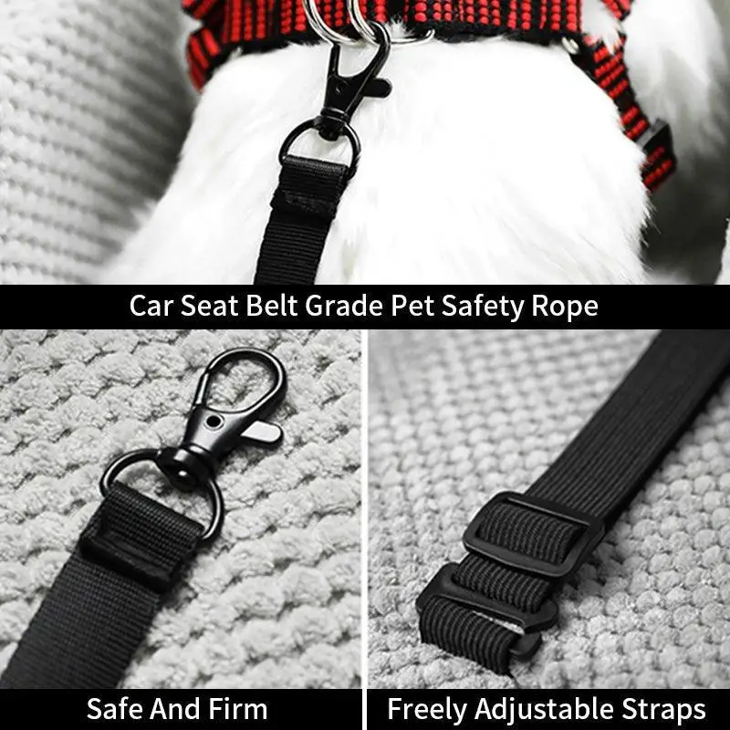 Nonslip Dog Carriers Safe Car