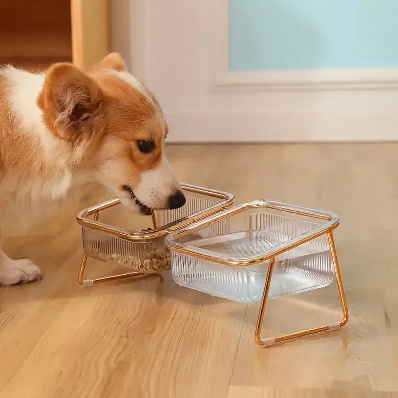 Transparent Double Pet's Bowl