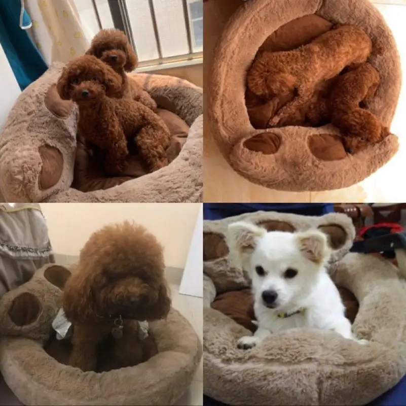 Extra Large Plush Dog Beds