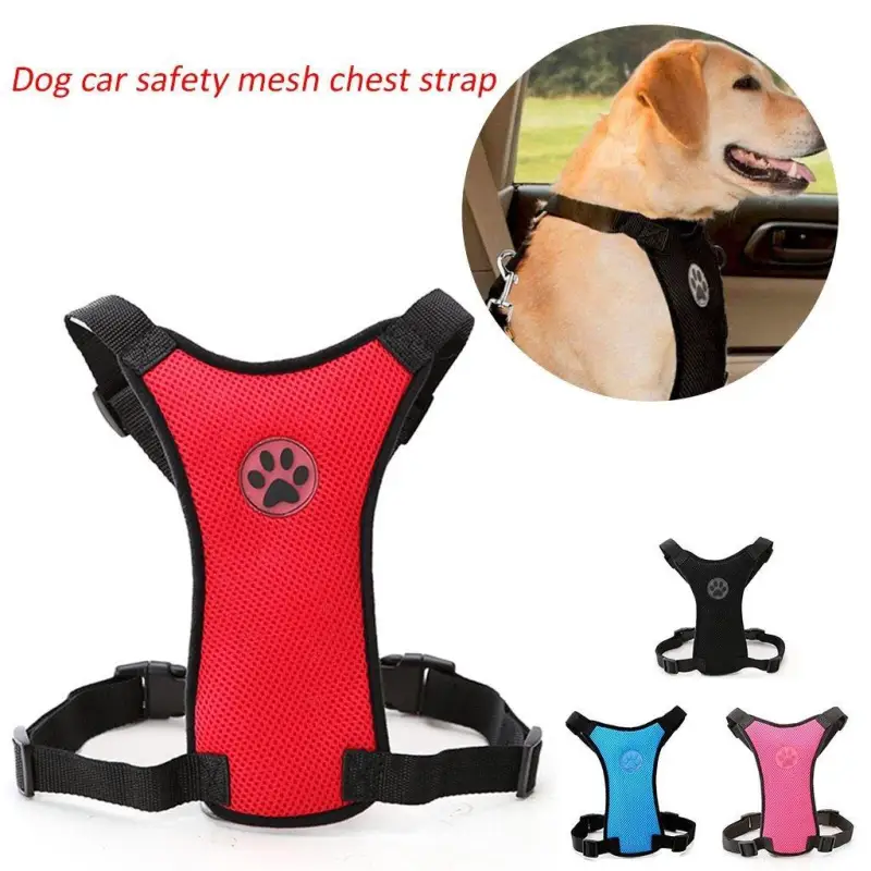 Straps Chest & Car Seat Belt