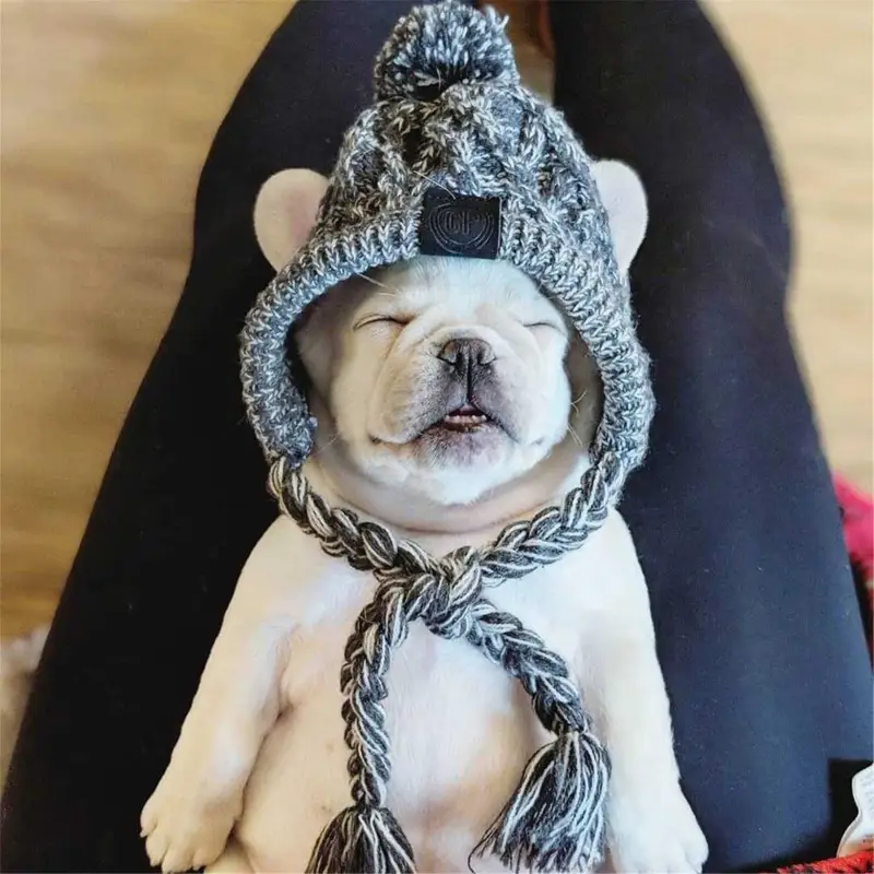 Winter Warm Dog Hats