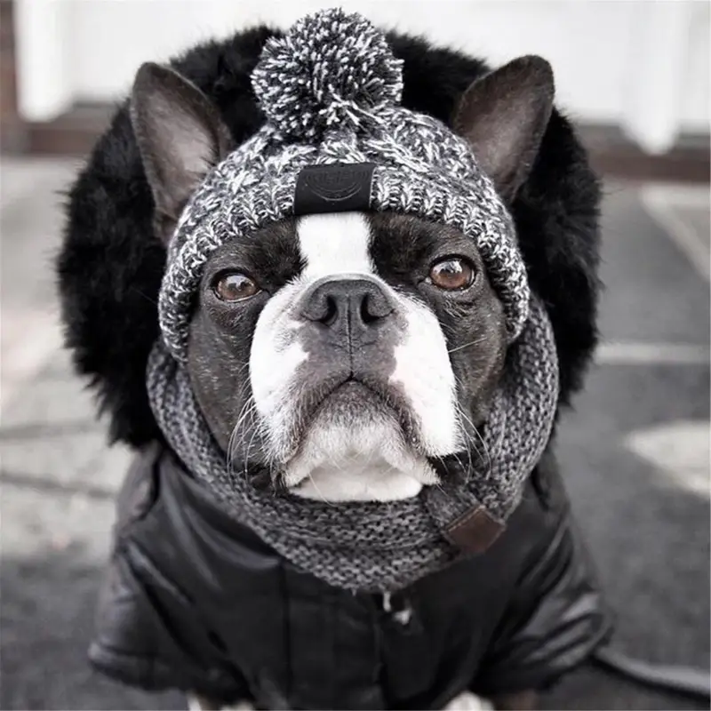 Winter Warm Dog Hats