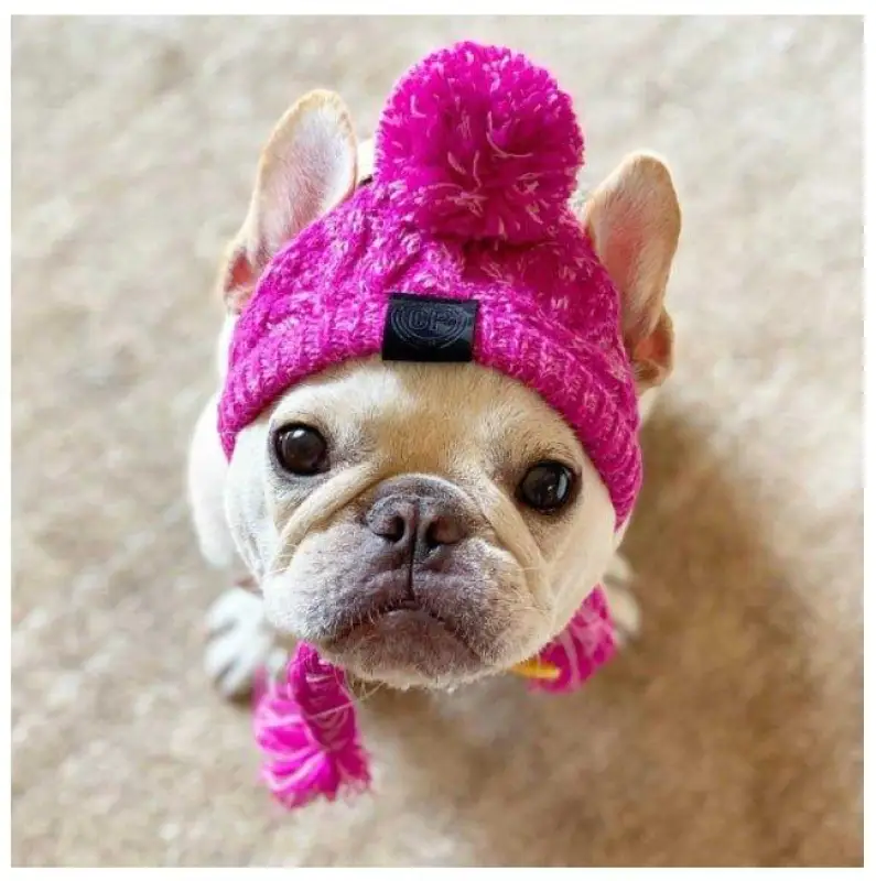 Winter Warm Dog Hats