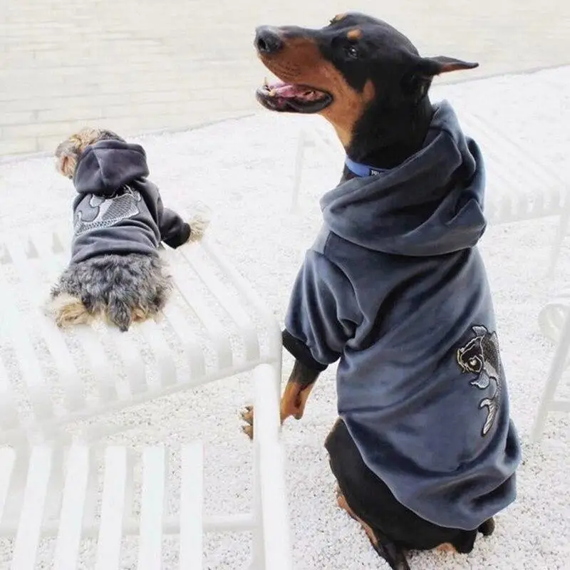 Matching Fashion with Pet Clothes