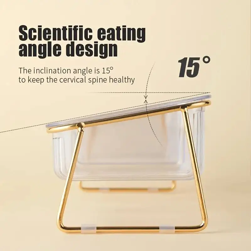 Transparent Double Pet's Bowl