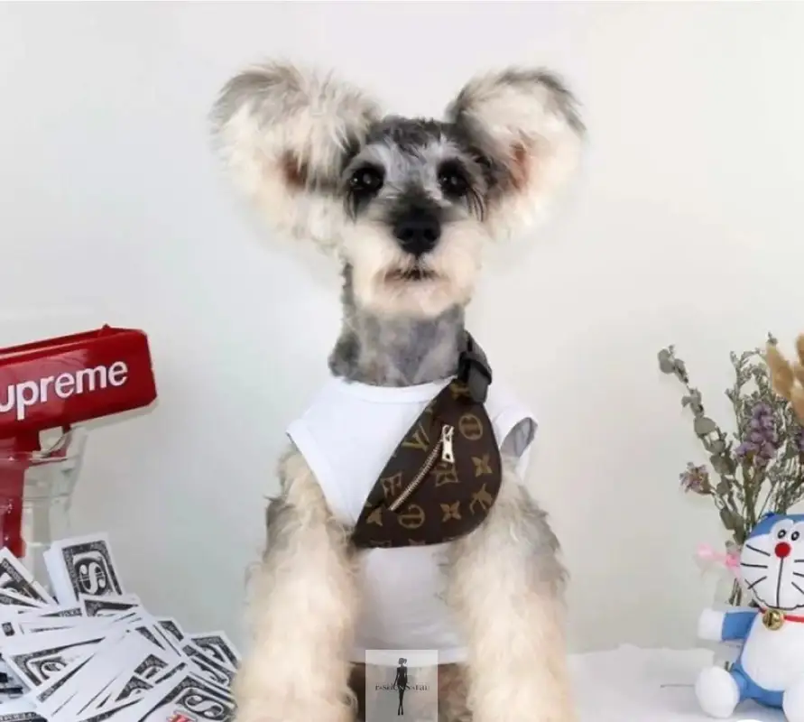 Pet Backpacks Supplies