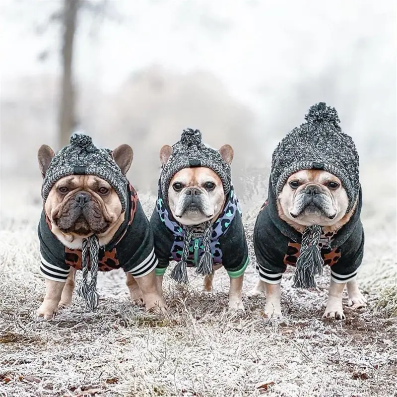 Winter Warm Dog Hats