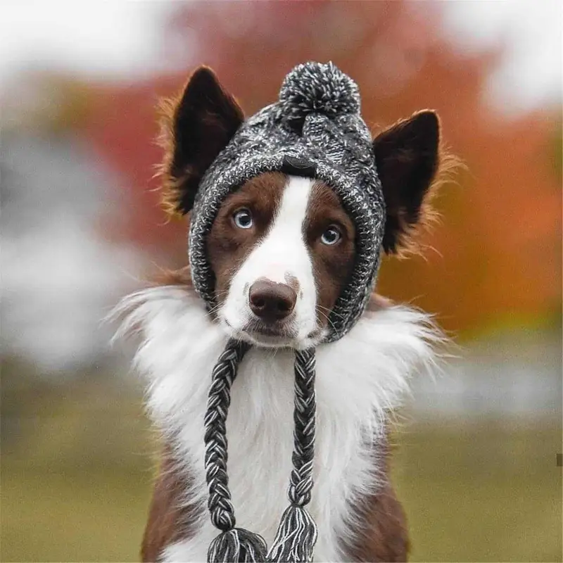 Winter Warm Dog Hats