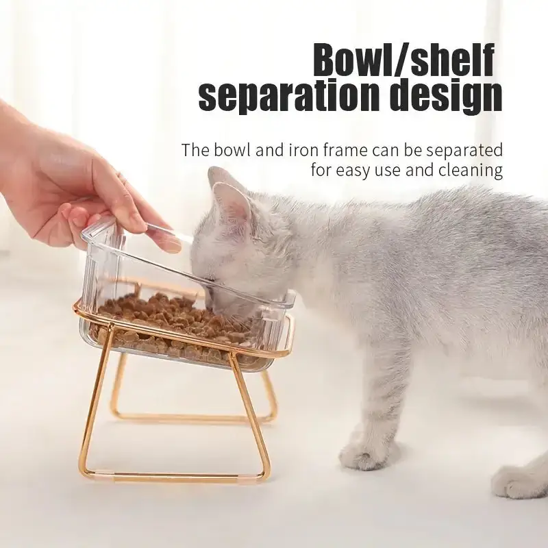 Transparent Double Pet's Bowl