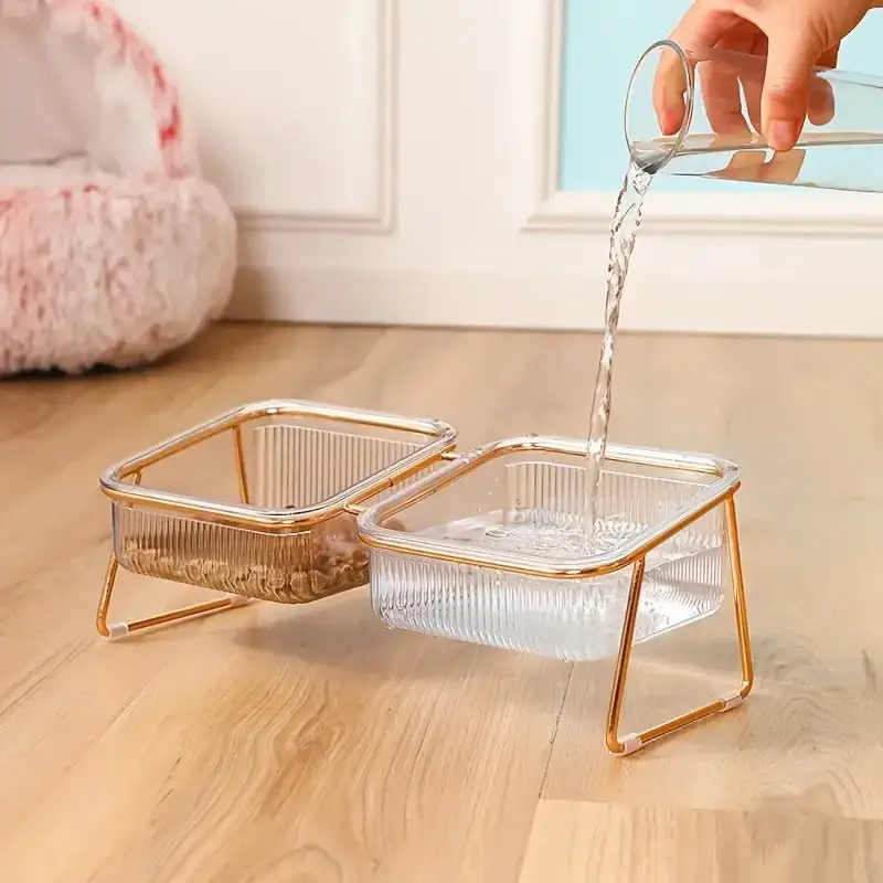 Transparent Double Pet's Bowl