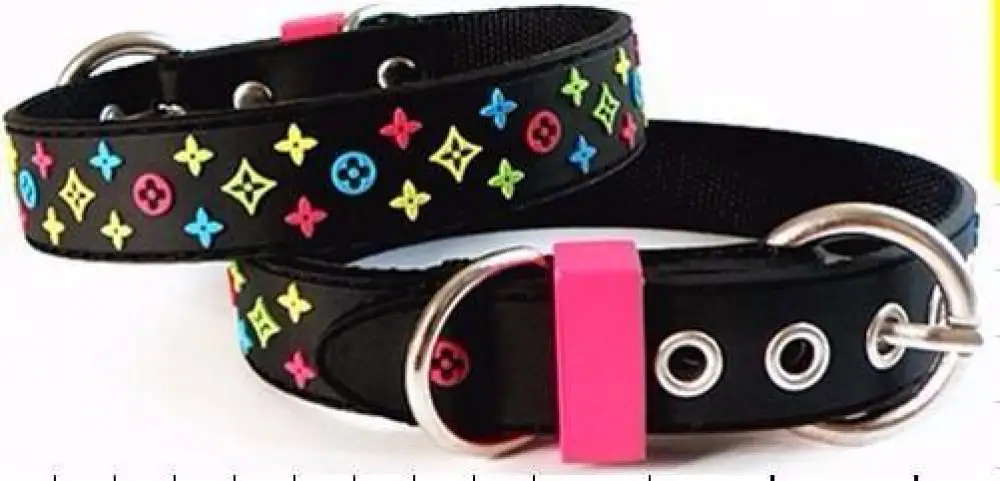 Trendy Pet Collar & Lead