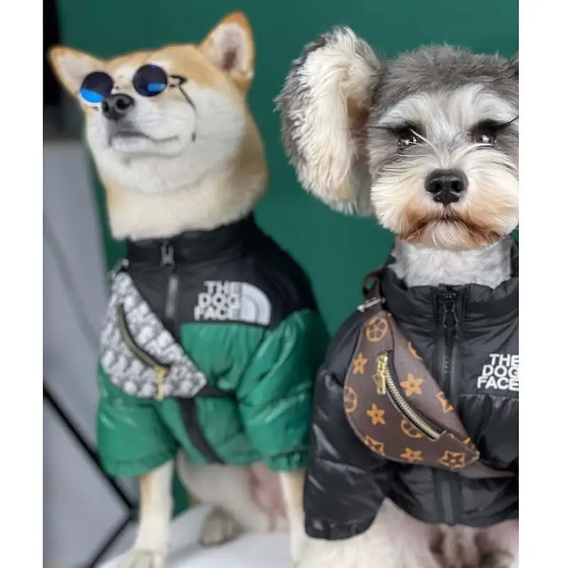 Pet Backpacks Supplies